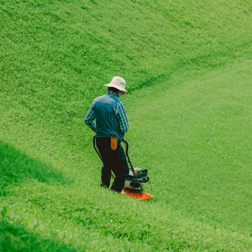 pexels-le-thanh-huyen-1056408622-20727438 (1)